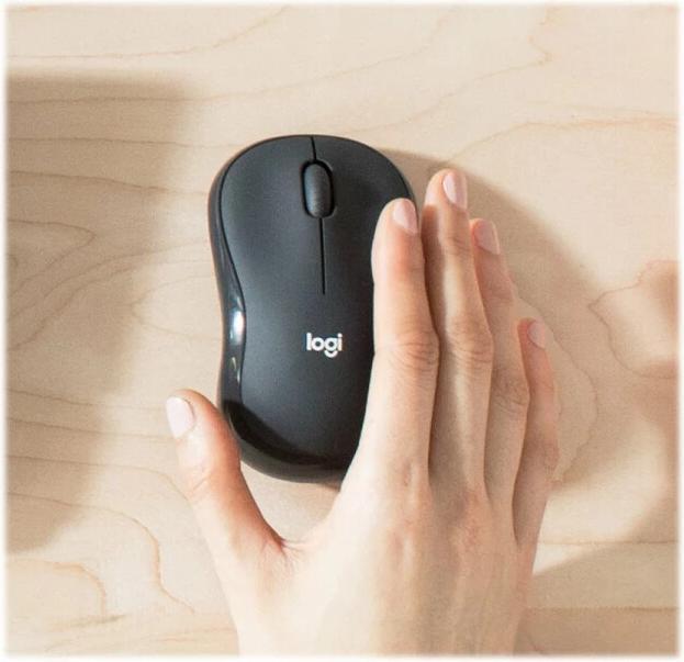 Immagine prodotto Logitech MK295 Silent (Ing. Int., Senza fili)