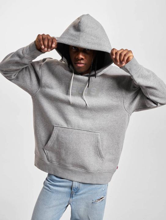 Actual product image Levis Relaxed Graphic Hoodie - 127125 (M)