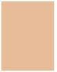 Actual product image NYX Professional Make-Up Can't Stop Won't Stop (06 Vanilla)