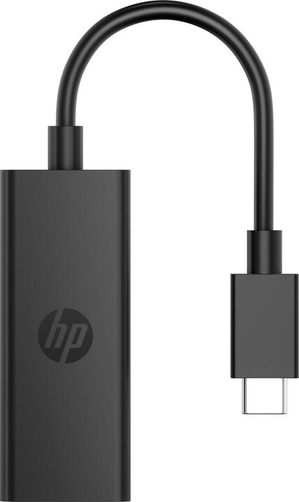 Immagine prodotto HP Hewlett-Packard USB-C to DisplayPort Adapter G2, USB-C, to (12 cm)