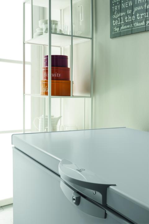 Actual product image Indesit OS 2A 250 (Stand-alone, 255 l)
