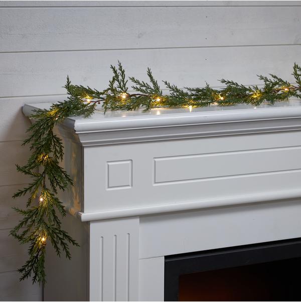 Produktbild Star Trading Thuja