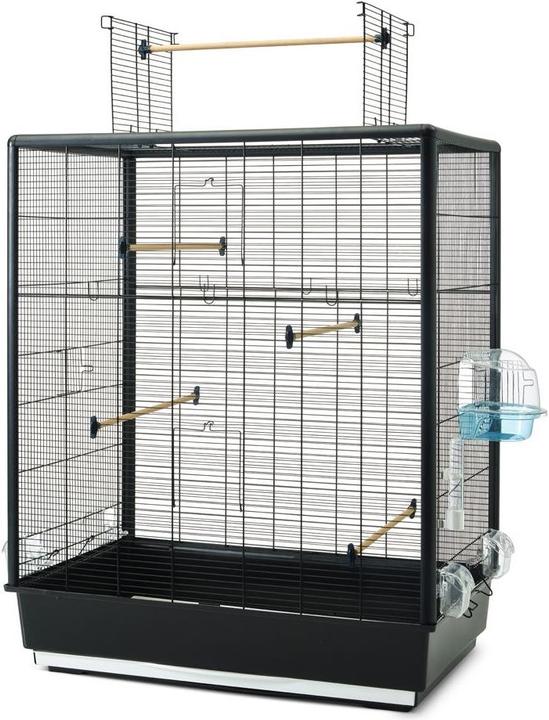 Savic Primo 60