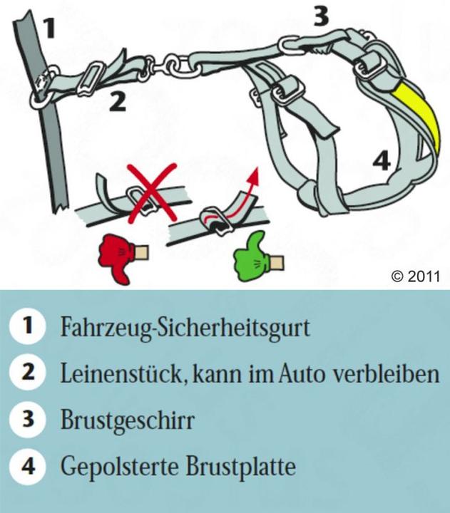 Actual product image Kleinmetall Allsafe dogs safety belt (M, Dog, Work, Dog sport, Jogging, Walks)