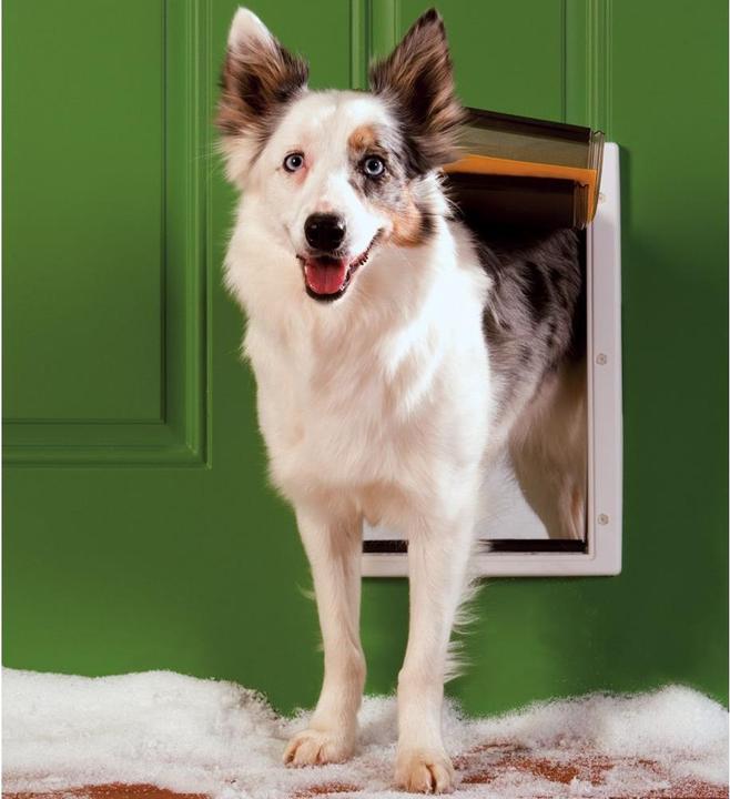 Immagine prodotto PetSafe Dog Flap Extreme Weather Gr (Gattaiola manuale)