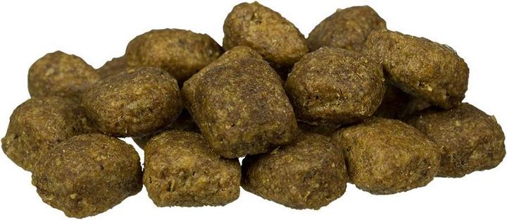 Produktbild Bosch Petfood Active (Adult, 1 Stk., 15000 g)
