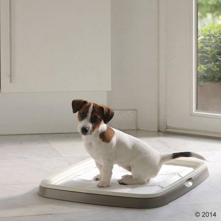 Produktbild Savic Puppy Trainer Starter Set XL inkl. 7 Pads (Hund)