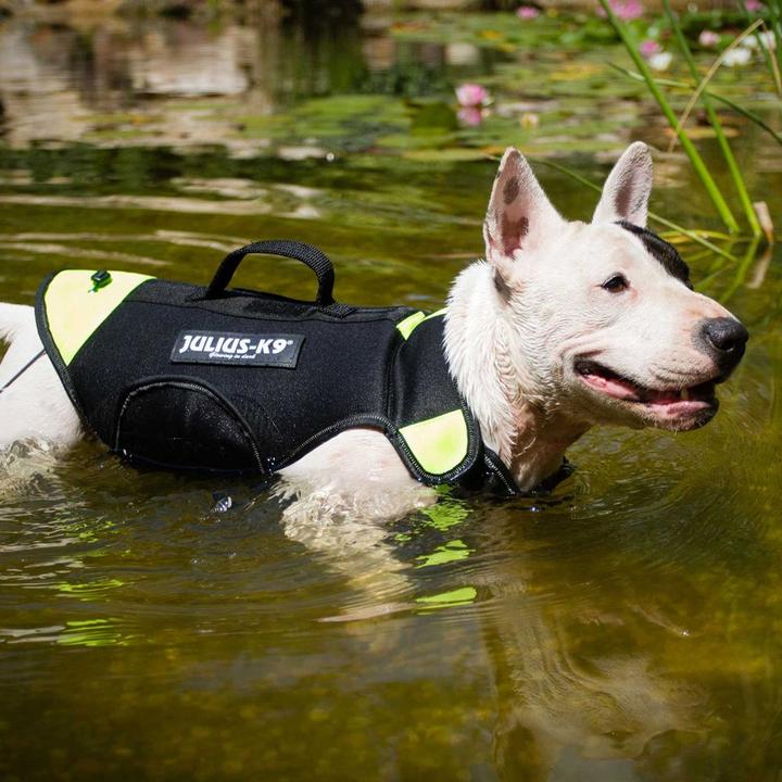 Actual product image Julius-K9 Multifunctional vestin (M, Dog life jacket)