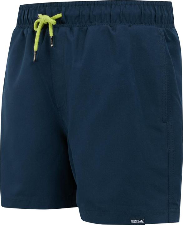 Actual product image Regatta Mens Mawson II Swim Shorts (S)