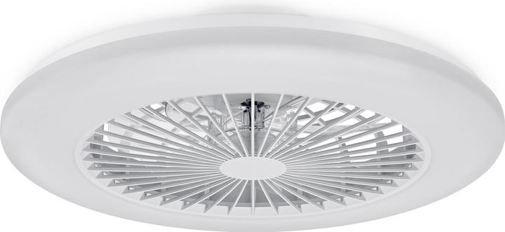 Image du produit Signify Philips Amigo (6500 lm)