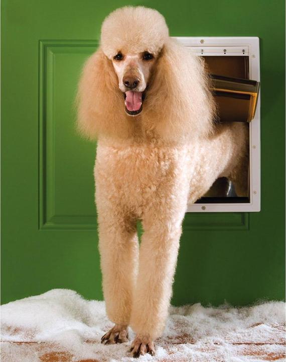 Immagine prodotto PetSafe Dog Flap Extreme Weather Gr (Gattaiola manuale)