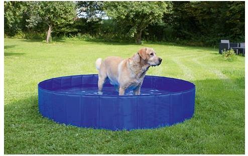 Immagine prodotto Kerbl Piscina per cani (Piscina per cani)