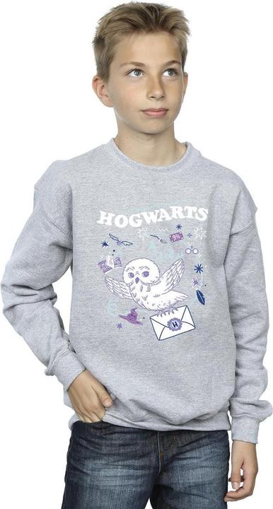 Image du produit - Sweat OWL LETTER FROM HOGWARTS - Garçon (152, 158)