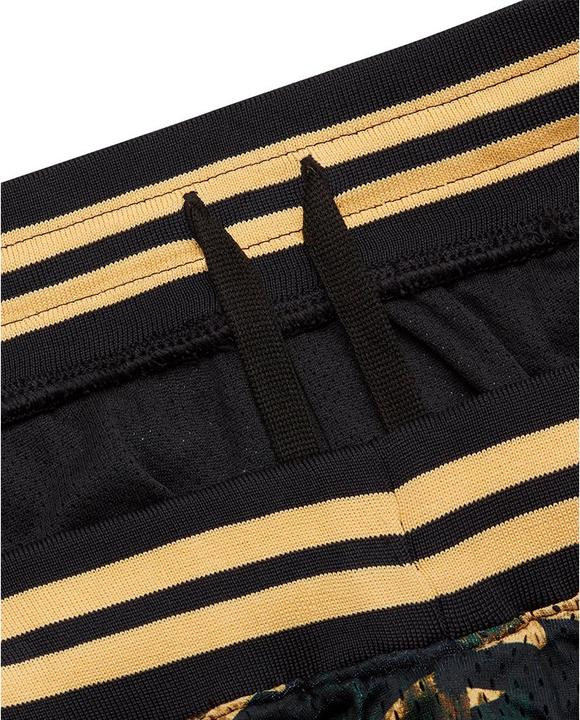 Produktbild Under Armour Curry Mesh Short 1 (L)