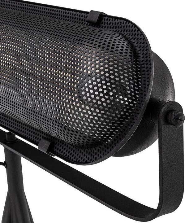 Image du produit pfister Industrial Curved (800 lm, E27)