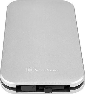 Immagine prodotto Silverstone Mammut Series MMS02 - Contenitore di stoccaggio - 2,5" (6,4 cm) (2.5")