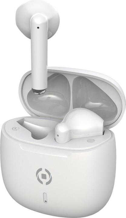 Actual product image Celly Earbuds Buz2wh White (40 h, Wireless)