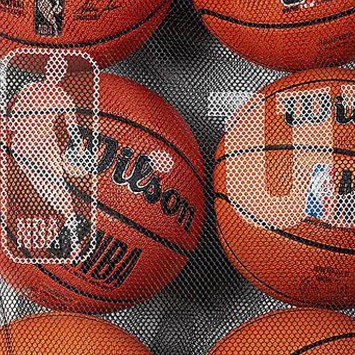 Actual product image Wilson NBA Mesh Ball Bag