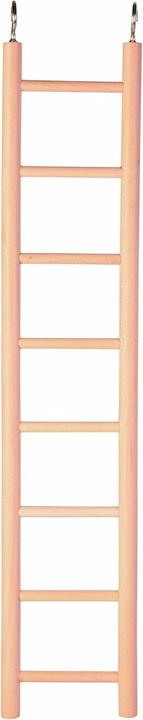 Image du produit Trixie Echelle en bois