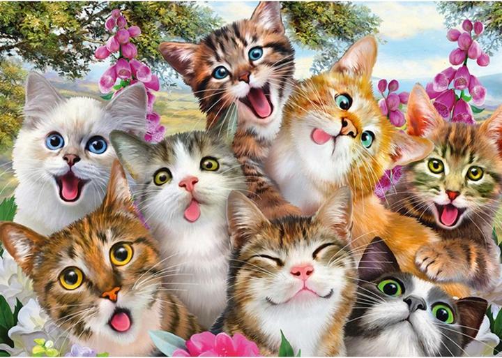 Image du produit Schmidt Spiele Chats Selfie (500 pièces)