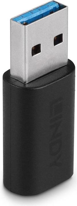 Lindy Adaptateur USB 3.2 type A vers C (USB-C, 2.44 cm)