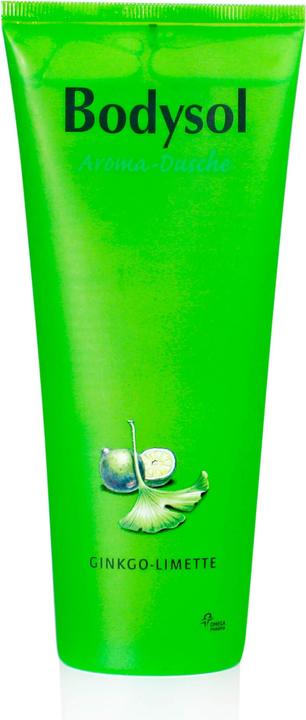 Immagine prodotto Omega Pharma Bodysol Gel doccia aromatico Ginkgo-Lime, 250 ml XDG (250 ml)