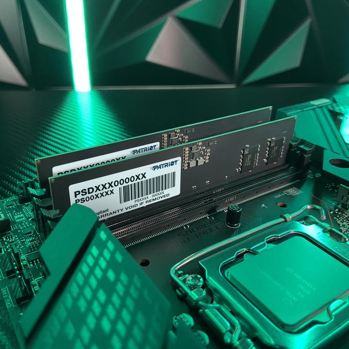 Actual product image Patriot D516GB 4800-40 Signature K2 PAT (PSD516G4800K) (2 x 8GB, 4800 MHz, DDR5 RAM, DIMM)