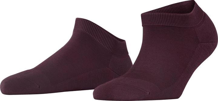 8596 barolo