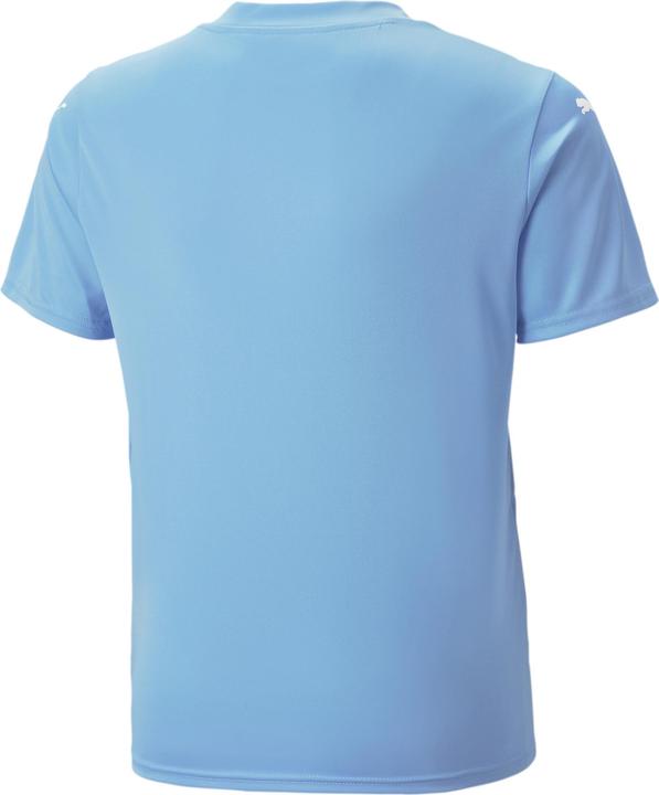 Actual product image Puma teamULTIMATE Jersey Jr (128)