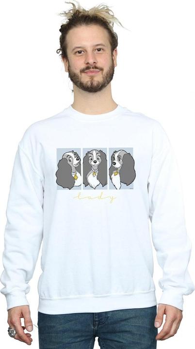 Actual product image Disney Mens Lady And The Tramp Lady Frames Sweatshirt (S)