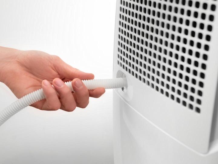 Actual product image De'Longhi Dex 12 (22 m², 12 l/24h)