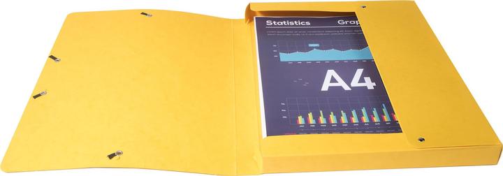 Actual product image Exacompta Archivboxen (A4)
