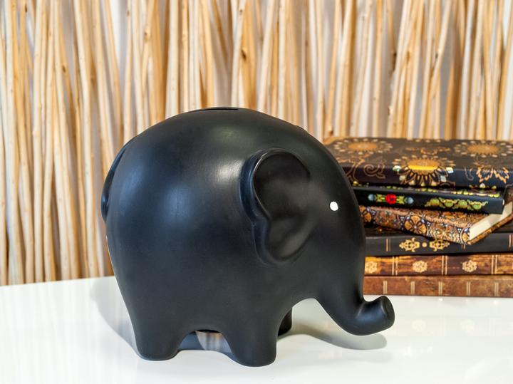 Actual product image Pajoma Elephant