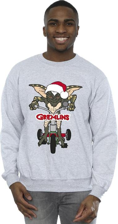 Actual product image Universal Textiles Mens Bike Logo Sweatshirt (M)