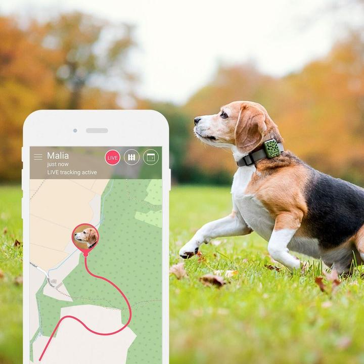 Immagine prodotto Tractive GPS Pet Tracker (Cane)