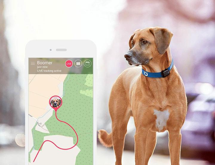 Produktbild Tractive GPS 2 Pet Tracker (Hund, Katze, Spazieren)