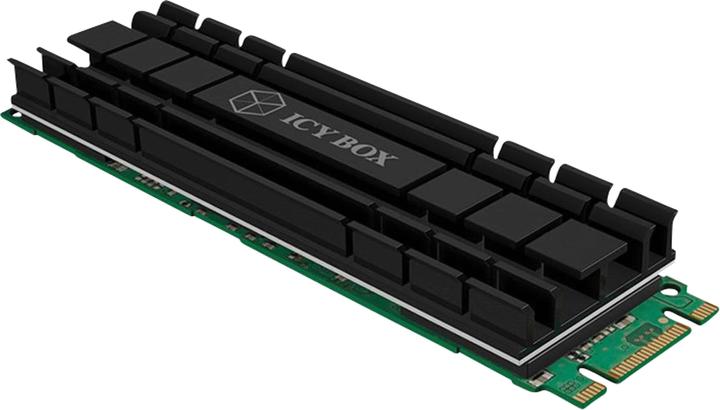 Icy Box IB-M2HS-701