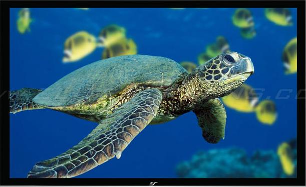 Image du produit Elite Screens ezFrame (150", 16:9)