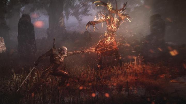 Image du produit Bandai Namco The Witcher 3 : Wild Hunt Game of the Year Edition, Xbox One (Xbox One S, EN)