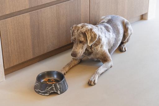 Immagine prodotto Designed by Lotte Ciotola per cani Meis (0.70 l)