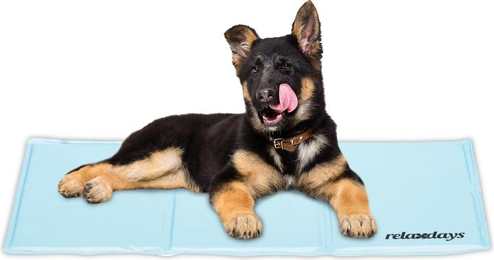 Immagine prodotto Relaxdays Tappeto di raffreddamento (Cane)