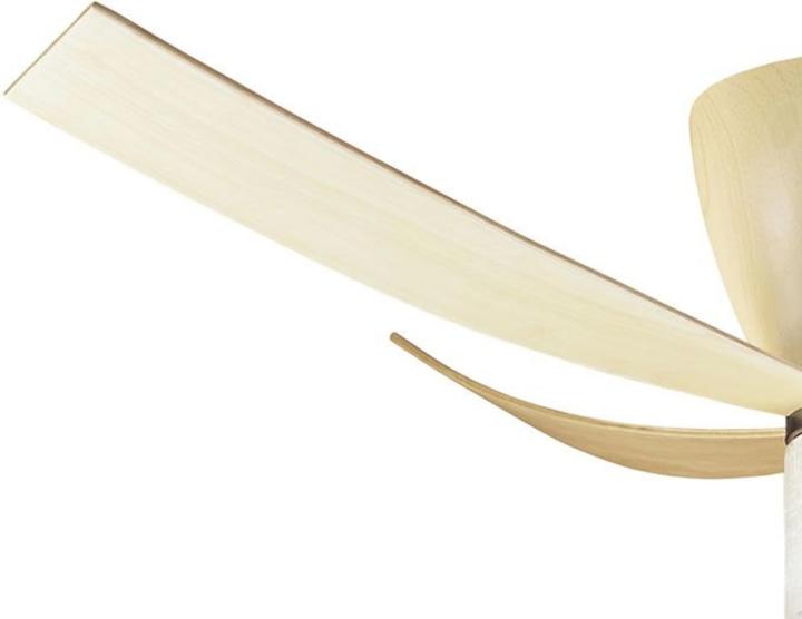 Actual product image Hunter Fans Valhalla
