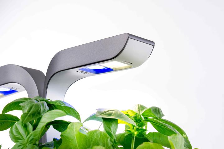 Actual product image Véritable Connect Indoor Garden (18 cm)