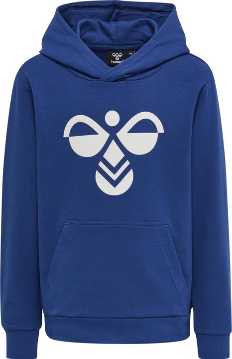 Actual product image hummel Cuatro Hoodie (104)