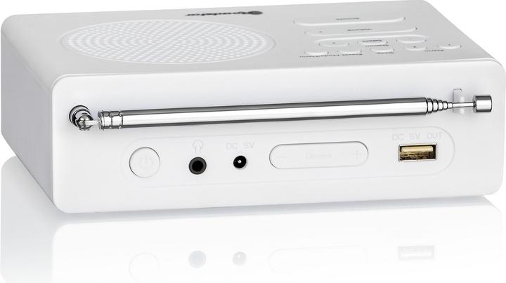 Image du produit Roadstar CLR-290 (FM, DAB+ DAB)