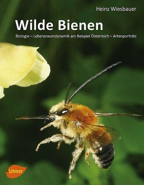 Actual product image Wild bees (German)