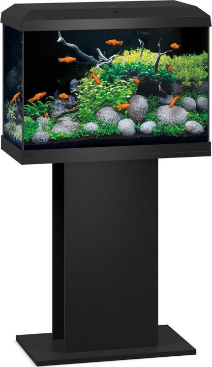 Actual product image Juwel Aquarium Primo 70 (70 l)