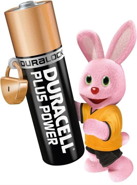 Actual product image Duracell Plus (4 pcs., AA, 2600 mAh)