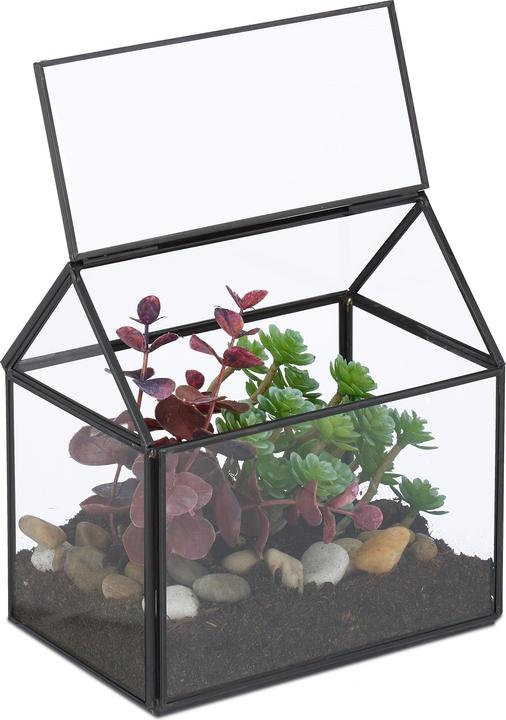 Produktbild Relaxdays Pflanzenterrarium