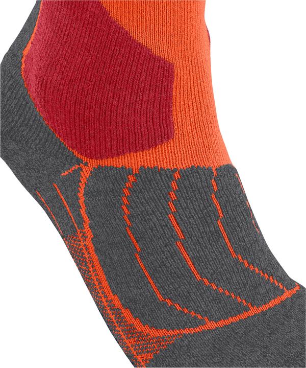Actual product image Falke Kniestrümpfe SK1 (39 - 41)